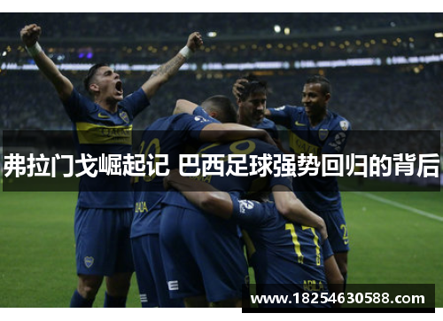 弗拉门戈崛起记 巴西足球强势回归的背后 弗拉门戈崛起记 巴西足球强势回归的背后