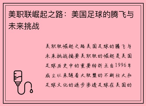 美职联崛起之路:美国足球的腾飞与未来挑战 美职联崛起之路:美国足球的腾飞与未来挑战